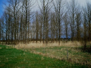 Naar hier dus