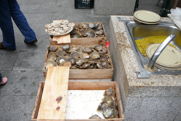 oesters - ostras Vigo