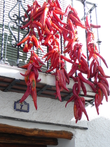 Pepers in Alpujarras