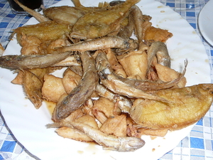 pescaitos in  Benidorm