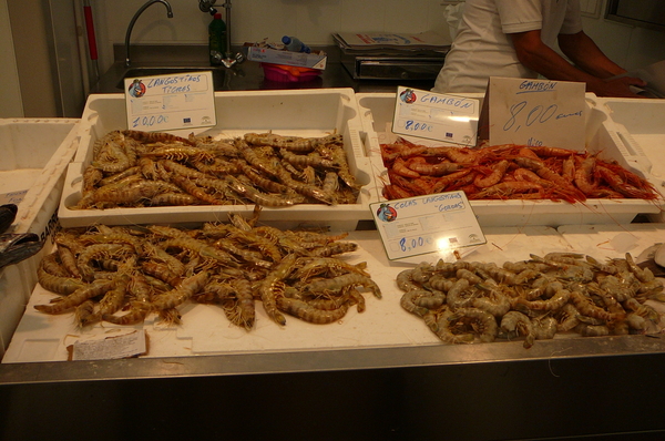 Cadiz mercado