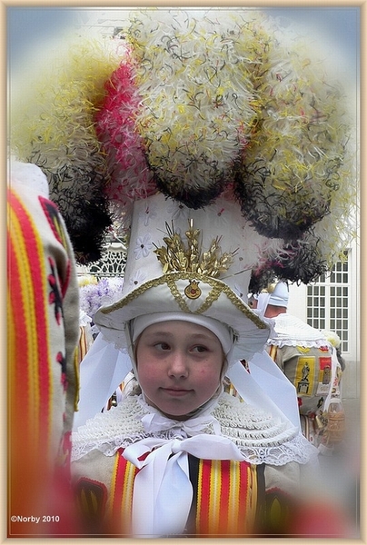 sized_sized_P2030771a  Aalsterse Gilles