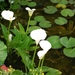 056