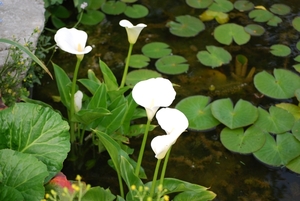 056