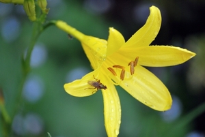 079