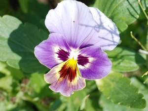 085