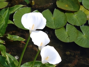 089