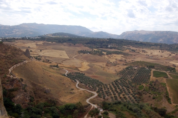 1007 Ronda - Park Alameda del Tajo