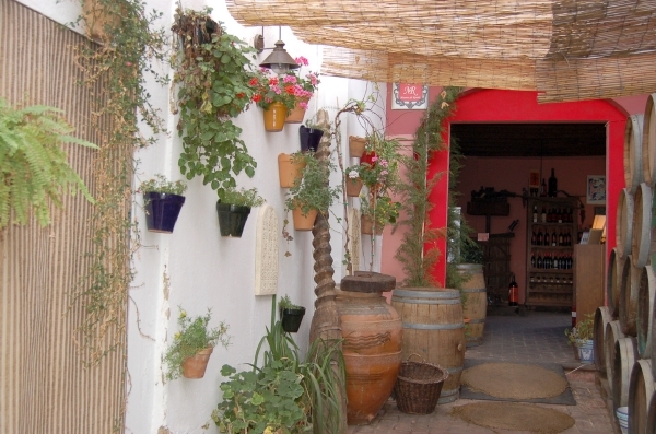 1084 Ronda - wijnmuseum