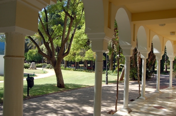 156 Marbella - parque de la constitution