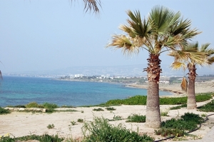 31Cyprus - hotel St Georges Phaphos -  hotel Saint George omgevin