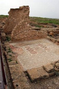 14Cyprus - Phaphos - archeologische site - villa of Theseus