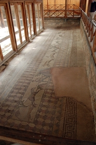29Cyprus- Paphos - archeologische site - hous of Dionysus