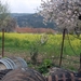 50Cyprus -Cyprus - Commandaria wijnproeven .jpg