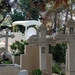 15Phaphos - kerkhof oude stad