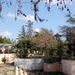 39Phaphos -  oude stad-  park.jpg