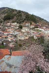 36Cyprus - Milikouri.jpg