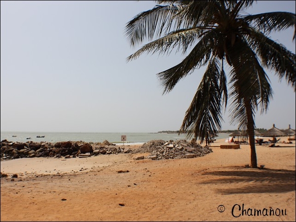 senegal - 012