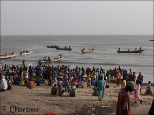 senegal - 016