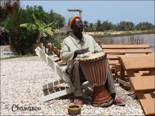senegal - 020