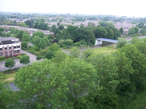 Bomen van bovenaf gezien