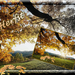 herfst