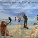 Naamloos-3kopie