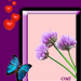 paarse_bloem