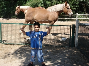 Michael & paarden