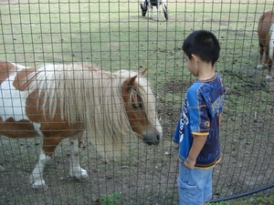 Michael en pony
