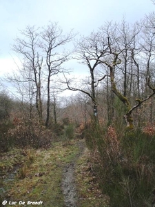 2010_04_05 Gozin 17