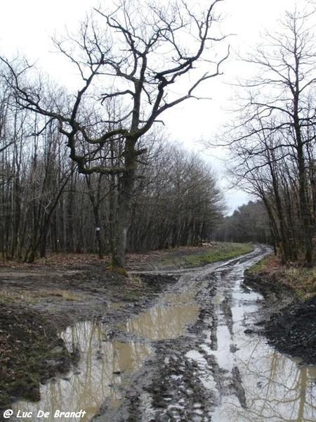 Ardennen Adeps wandeling Gozin Beauraing