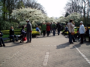 P1010004