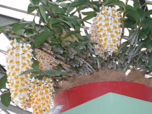P1010012