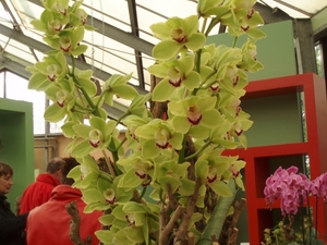 P1010014