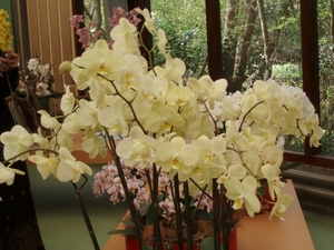 P1010017