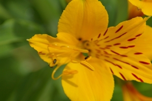 IMGP6047
