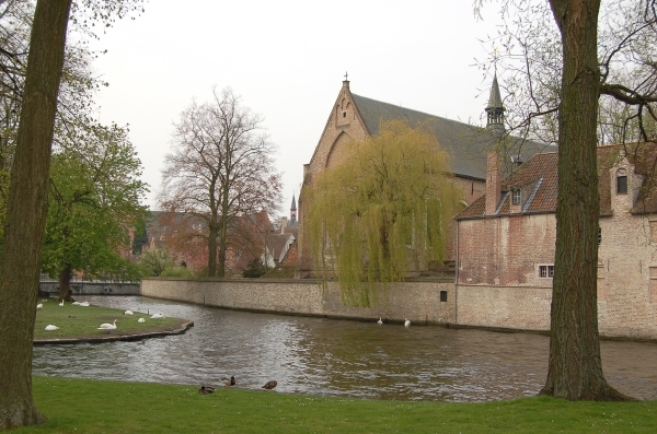 Brugge  19.04.2008  a031