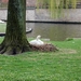 Brugge  19.04.2008  a271