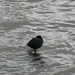 Rotterdam-Pasen 010