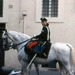 e11 Politie te paard