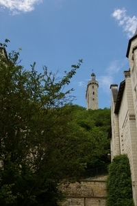 chinon