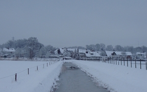 sneeuw 2010 005
