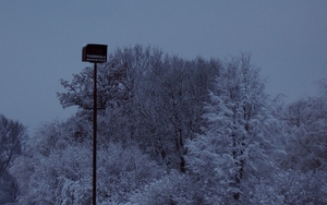 sneeuw 2010 007