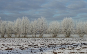 winter 2009 (11)