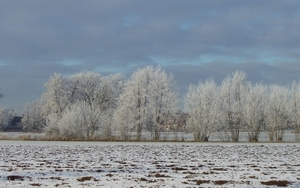 winter 2009 (5)