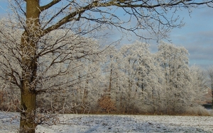 winter 2009