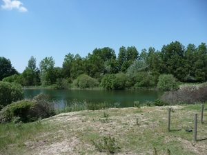 P1000197
