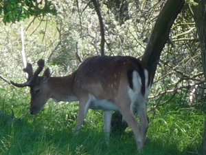 P1000207