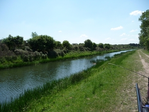 P1000208